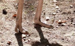 Bible Birds – Common&nbsp;Ostrich