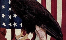 Birds Vol 2 #1 – The Bald-headed&nbsp;Eagle