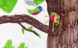 Emma’s Tales Retold – George the&nbsp;Hummingbird