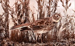 Vol 2 #2 – The&nbsp;Skylark