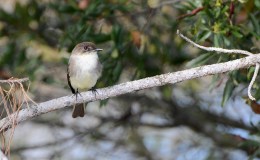 An Old Friend In a New Home – Chapter&nbsp;6