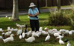 Latest From Lee’s Birdwatching Adventures&nbsp;Plus