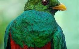 Creation Museum’s Dragon Legends&nbsp;I