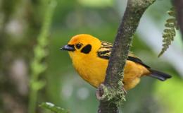 God’s Good News In&nbsp;Colors