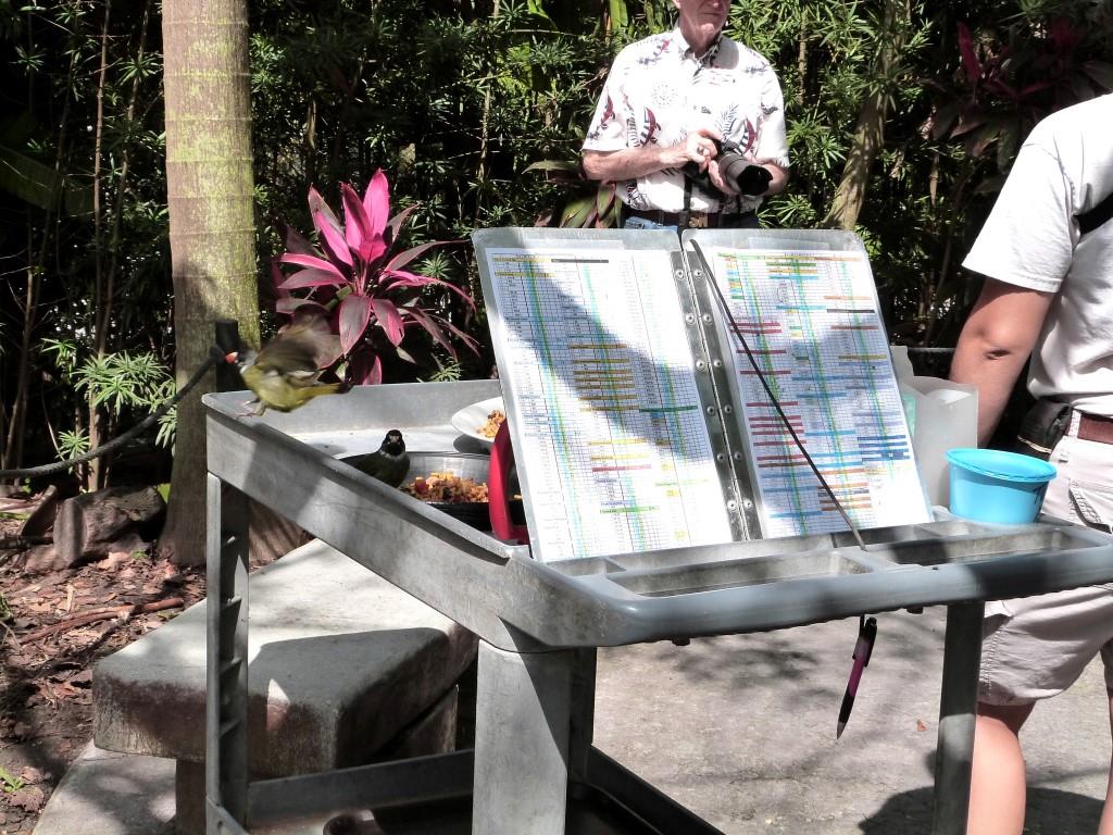 Counters with friends