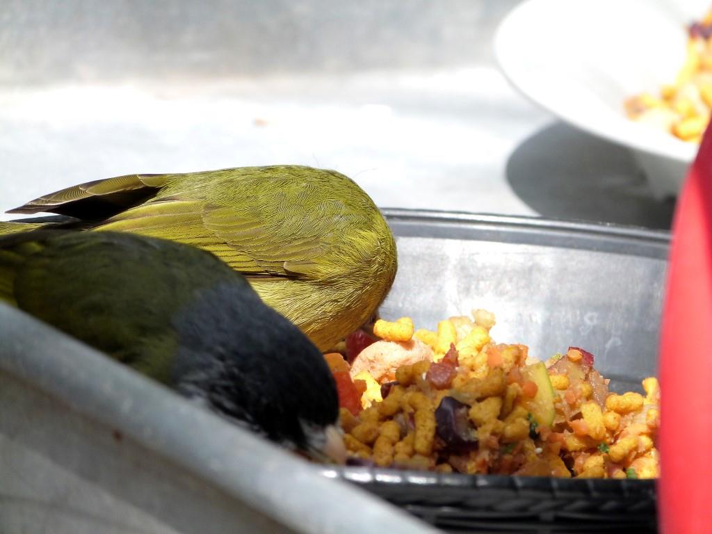Counters with friends making themselves at home