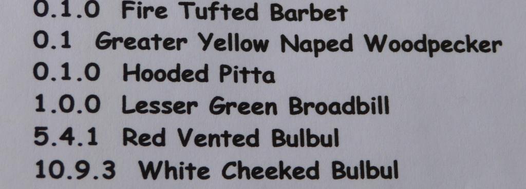 List of birds at Wings of Asia 2014 - Greater Yellow Nape