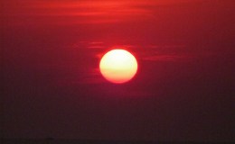 Hymns With Birds and Creation – We Sing… Verse&nbsp;1