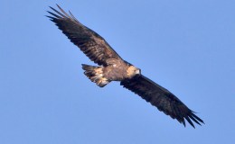 Universe: Life Anywhere Else?&nbsp;[Moved]