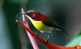 Changes On The Way – UPDATED&nbsp;2-13-18