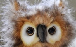 In Love With Words and&nbsp;Dusky’s