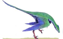 Anwers Book Chapter 1 – Did Dinosaurs Turn into&nbsp;Birds?