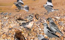 Changes On The&nbsp;Way