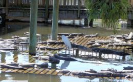 Choose Your Friends&nbsp;Wisely!