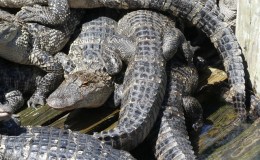 Faithful Are The Wounds of a&nbsp;Friend