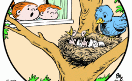 What’s For Breakfast?