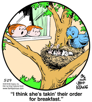 Family Circus - Taking Orders