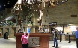 Creation Museum’s Mastodon