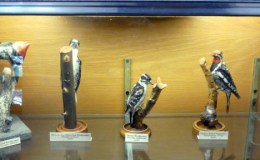 Waterman Bird Collection –&nbsp;Woodpeckers