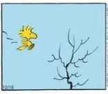 Snoopy’s Partridges In Pear&nbsp;Tree