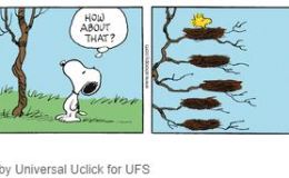 Woodstock’s High-rise Dwelling