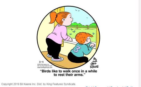 Family Circus - Birds Walking