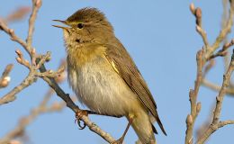 Why Get In The Ark When You Can&nbsp;Fly?