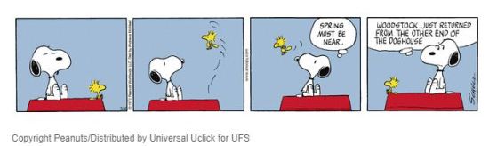 Snoopy and Woodstock - Spring Migration