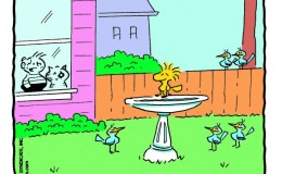 A New Nest For&nbsp;Woodstock