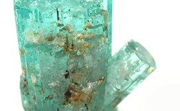 Precious Stones and Birds –&nbsp;Beryl