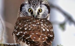 Twelve Years of&nbsp;Blogging