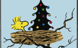 Woodstock’s Christmas Tree