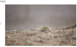 Time To Get Back To Work –&nbsp;Peeking