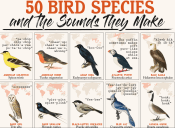 2020-04-03 23_43_07-