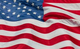 Fourth of July Flag&nbsp;Birds