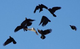 Are You Sounding Any&nbsp;Alarms?